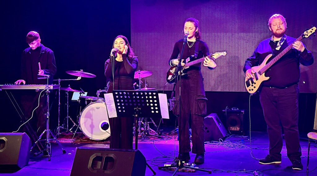 Die Groovy Hermanettes in ihrem Element, Bild: Björn von Lindeiner